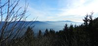 23 falkenstein und rachel